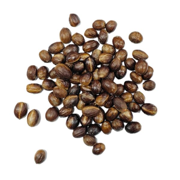 Nutmeg
