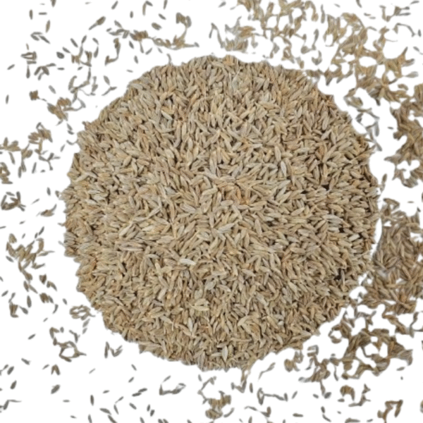 Jeera ( Cumin Seeds)